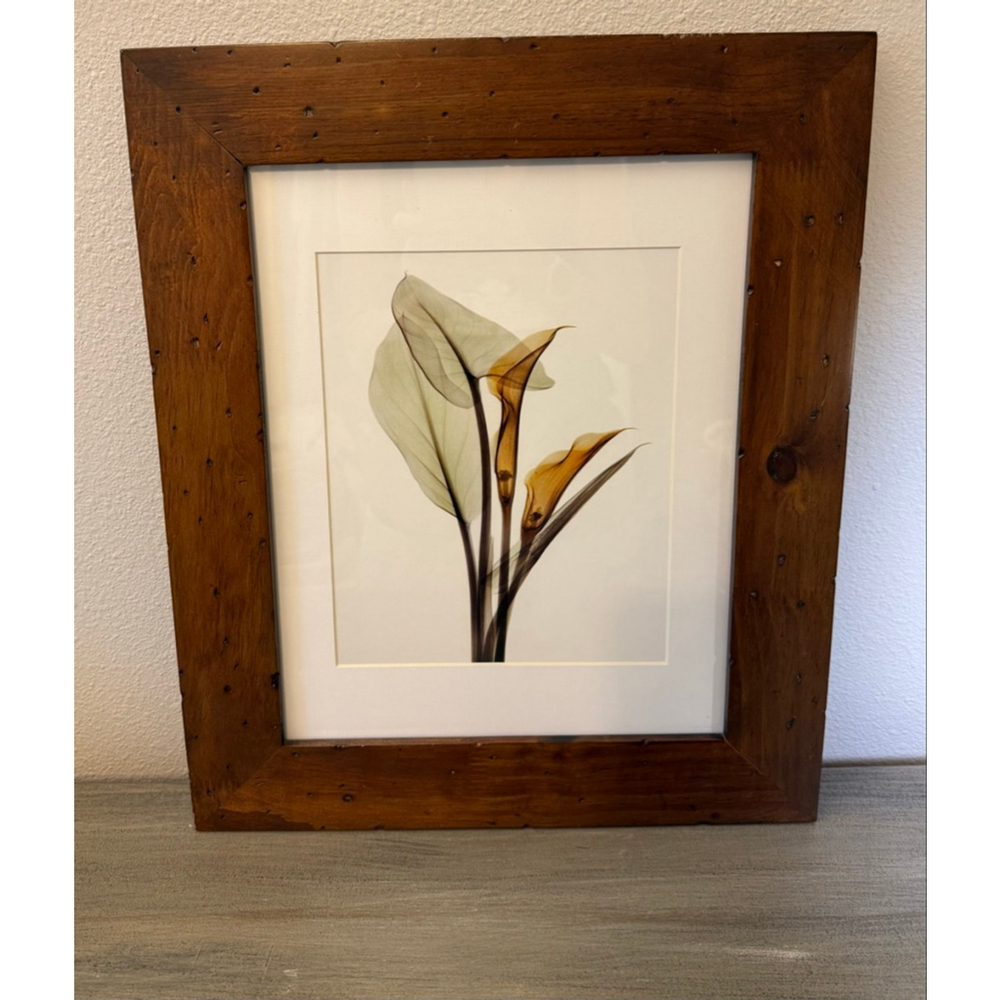 Framed Calla Lily art print approx. 15x18”